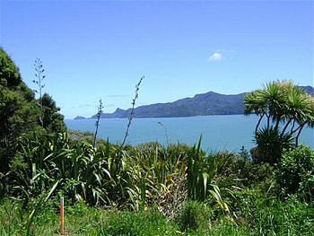 Manukau Harbour, new zealand, nature, tree, auckland HD wallpaper