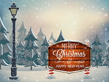 Happy holidays, winter, holidays, snowflakes, light, snowfall, snow, christmas, trees, happy, lantern, forest, new year HD wallpaper