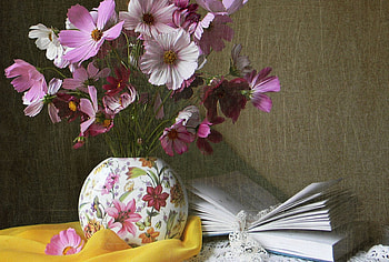 Still Life, vase, flowers, book HD wallpaper