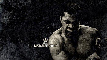 muhammad ali, boxer, sports, adidas HD wallpaper