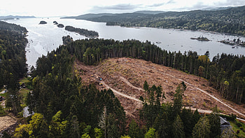 Salt Spring Island, Canadian travels, Logging noise, Gulf Islands driftwood HD wallpaper