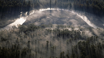 http://rs.com/uploads/nature/foggy-pine-forest-wide--34293.jpg | Tall Trees | Pinterest HD wallpaper