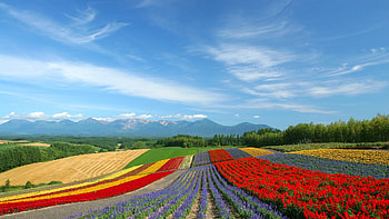 Japan Hokkaido Country Field : Open Field Under Sky1920 . HD wallpaper