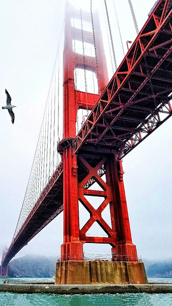 Golden Gate Bridge, Background, Landmark HD phone wallpaper