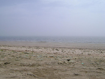 Untitle01, fog, sand, water, beach HD wallpaper