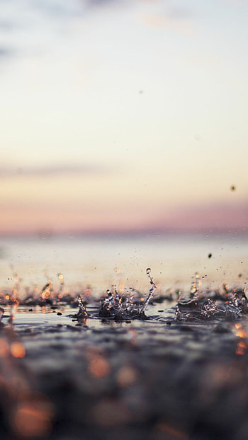 Rainfall beauty, Refreshing showers, Moisture in the air, Wet landscape HD phone wallpaper