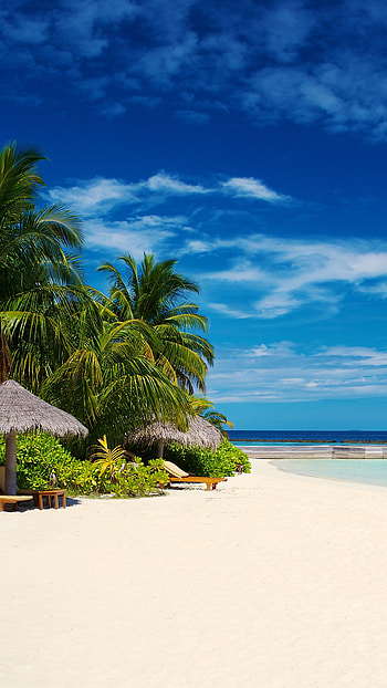 Baros Maldives, Island beauty, Tropical paradise, Blue skies HD phone wallpaper