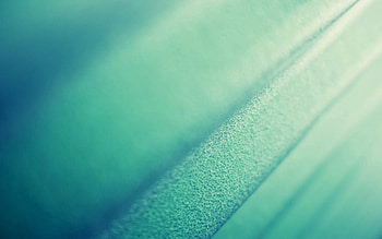 Macro, Surface, Sheet, Leaf, Band, Stripe HD wallpaper