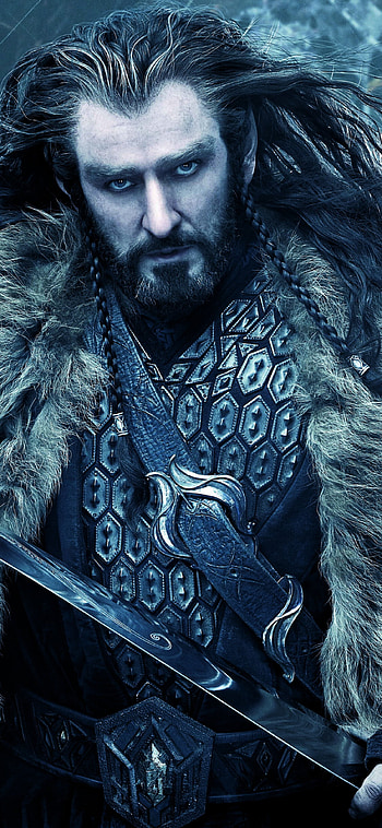 The Hobbit, Desolation of Smaug, Thorin Oakenshield, Impressive art HD phone wallpaper