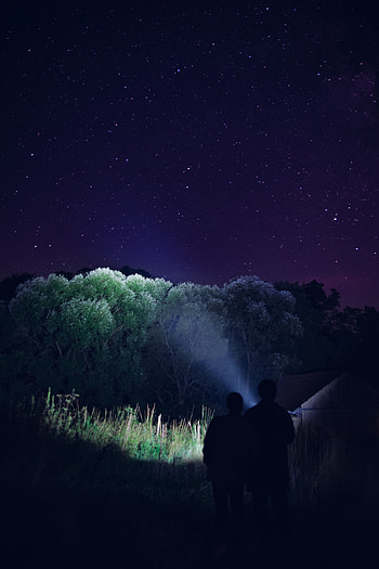 Trees, Night, Dark, Shine, Light, Silhouettes, Flashlight HD phone wallpaper