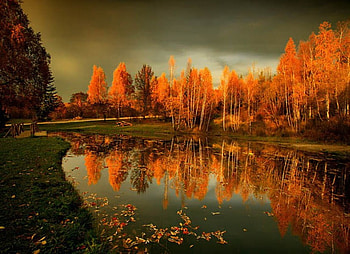 Beautiful Autumn Reflection, river, tall, beauty, reflection, photpgraphy, trees, autumn, , water, fall, beautiful, dark, mountain, leaves, yellow, bulgaria, fallen, clouds, nature, sky HD wallpaper