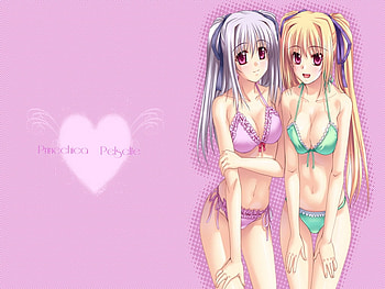 Pinechica-Pelselte, other, girls, anime HD wallpaper