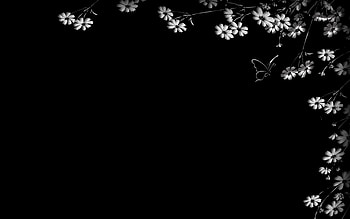 Flowers, Butterfly, Black Background HD wallpaper