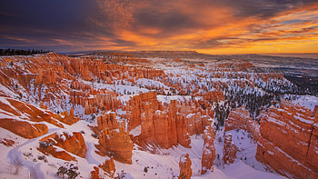 Hoodoos at Bryce Canyon National Park, Utah, nature, Bryce Canyon National Park HD wallpaper