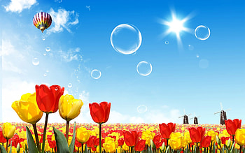0 beautiful screensavers beautiful screensavers HD wallpaper