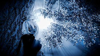 Noire/Godrays, VRChat HD wallpaper