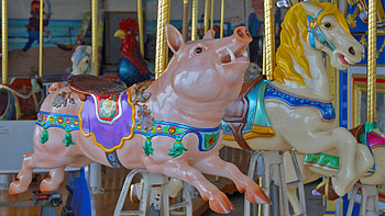 Piggy and Pony, animal, hourse, merry-go-round, circus, carousel, amusement park, pig HD wallpaper