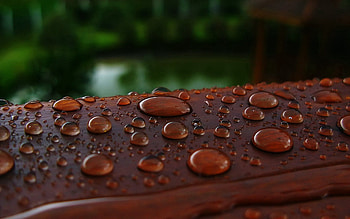 Drops, Macro, Surface, Stains, Spots, Dew HD wallpaper