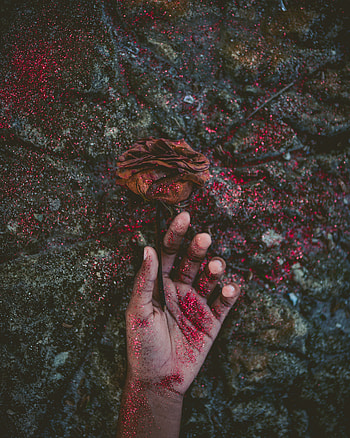 Hand, Miscellanea, Miscellaneous, Rose Flower, Rose, Tinsel, Sequins HD phone wallpaper