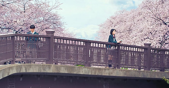 of Haruki Shiga and Sakura Yamauchi from I Want To Eat Your Pancreas, Anime, I Want To Eat Your Pancreas, Haruki Shiga, Sakura Yamauchi HD wallpaper
