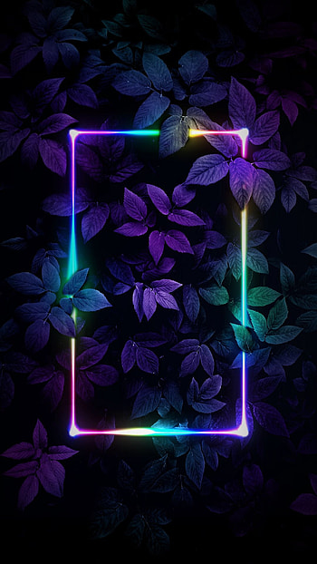 Leaves, neon, dark, purple, rectangle HD phone wallpaper