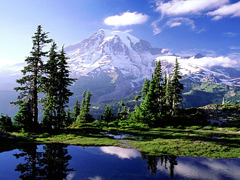 Landscape, Nature HD wallpaper