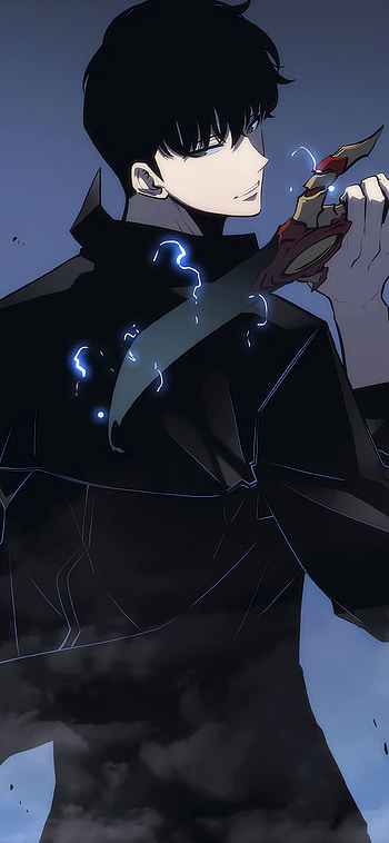 Sung Jin-Woo’s Solo Leveling: Ultimate Anime , Sung Jin-Woo, Anime, Solo Leveling HD phone wallpaper
