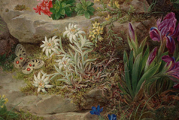 Growing Wild, white, blues, moss, reds, rocks, stones, daisies, purple, leaves, butterfly, irises, flowers HD wallpaper