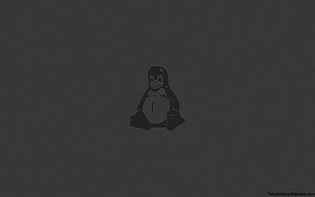 Linux Black, Dark Linux Mint HD wallpaper