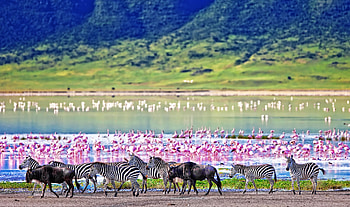 Ngorongoro Crater, What to see in Tanzania HD wallpaper