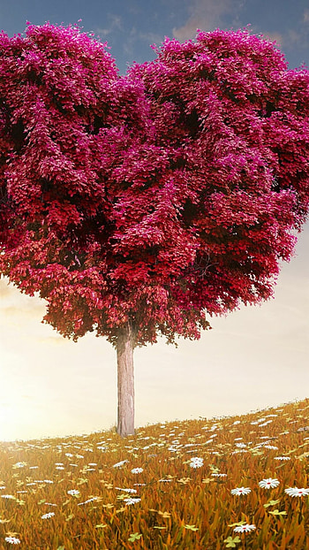 Meadows and trees, Love for nature, , Aesthetic delight HD phone wallpaper