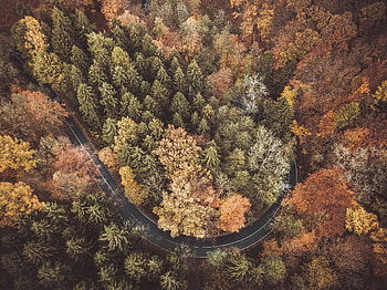 Autumn, highway, forest, aerial view HD wallpaper