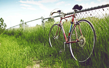 Nature, Grass, Summer, Field, Fence, Bicycle, Hedge HD wallpaper