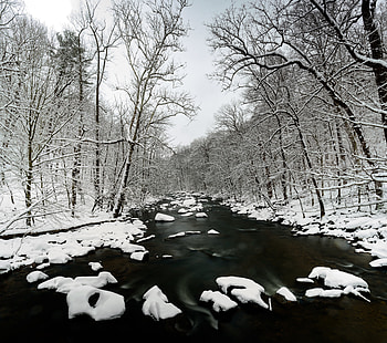 Winter, Nature, Water, Rivers, Trees, Snow HD wallpaper
