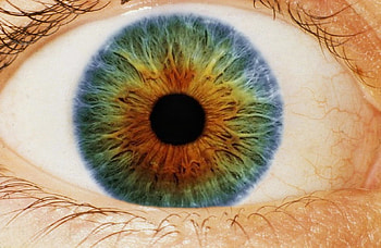 Eyes, Concept , multi, colored, eye, hazel HD wallpaper