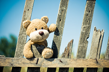 Teddy Bear, Miscellanea, Miscellaneous, Toy, Fence HD wallpaper