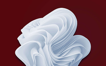 Windows 11 - Cranberry White Bloom, technology, Windows 11 HD wallpaper