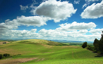 Nature, Fields, Clouds, Greens, Plain, Calmness, Tranquillity HD wallpaper