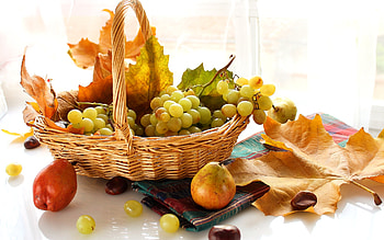 Autumn Backround, Leaf, Fruit, Autumn, pretty HD wallpaper