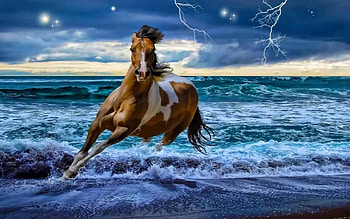 Animals, Horses HD wallpaper