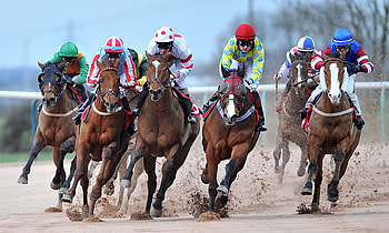 Horse racing , Sports HQ HD wallpaper