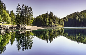 Tranquil summer view of a forest lake with clear reflections and evergreen trees. HD wallpaper