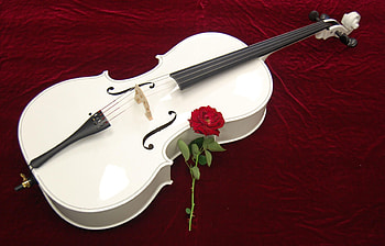 cello , Visual music, collection, Stringed instrument art HD wallpaper