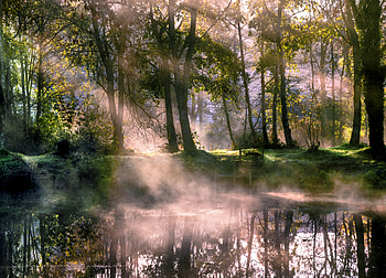Nature, Trees, Lake, Fog, Morning, Sunlight HD wallpaper