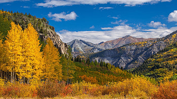Carpet of Colors near Ouray, Colorado, fall, landscape, clouds, trees, colors, sky, mountains, usa, autumn HD wallpaper