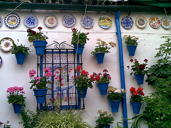 Cordoba, spain, wall, flowers, andalucia, pots HD wallpaper