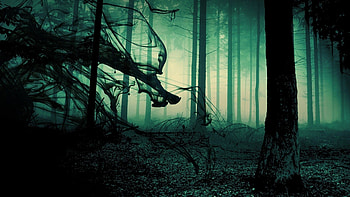 spooky forest background - Google Search HD wallpaper