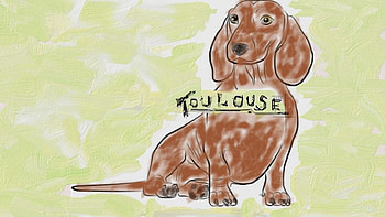 Dachshund art, dog, dachshund, painting, art, drawing HD wallpaper
