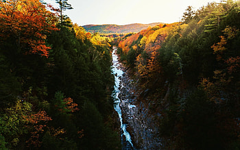 Autumn in Vermont, valley, river, leaves, fall, landscape, colors, forest, usa HD wallpaper