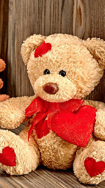 Beautiful Teddy Bear, Lovable HD phone wallpaper